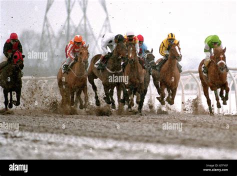 horse racing at southwell today.